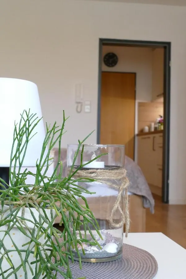 Ferienwohnung Am Holdereggenpark Lindau  Apartment Lindau (Bodensee)